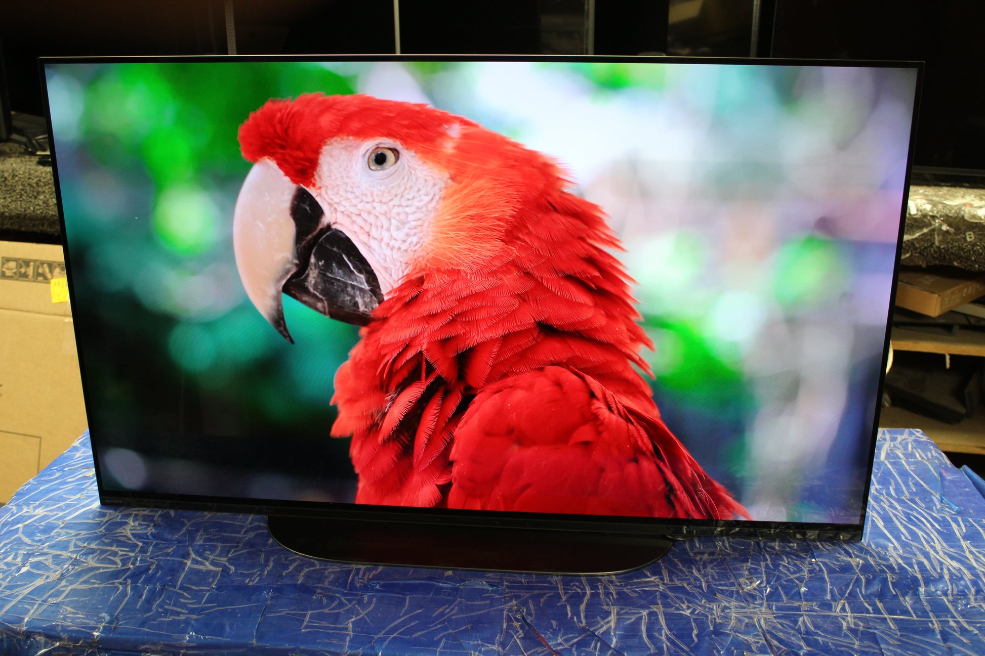 55" Sony KD55AG9BU Master Series 4K HDR Android Smart OLED TV - image 10