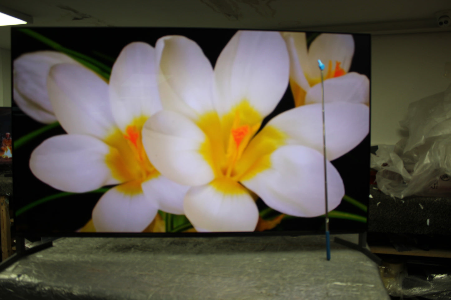 55" Sony Bravia K55XR8M2 4K HDR Google AI OLED TV image 6