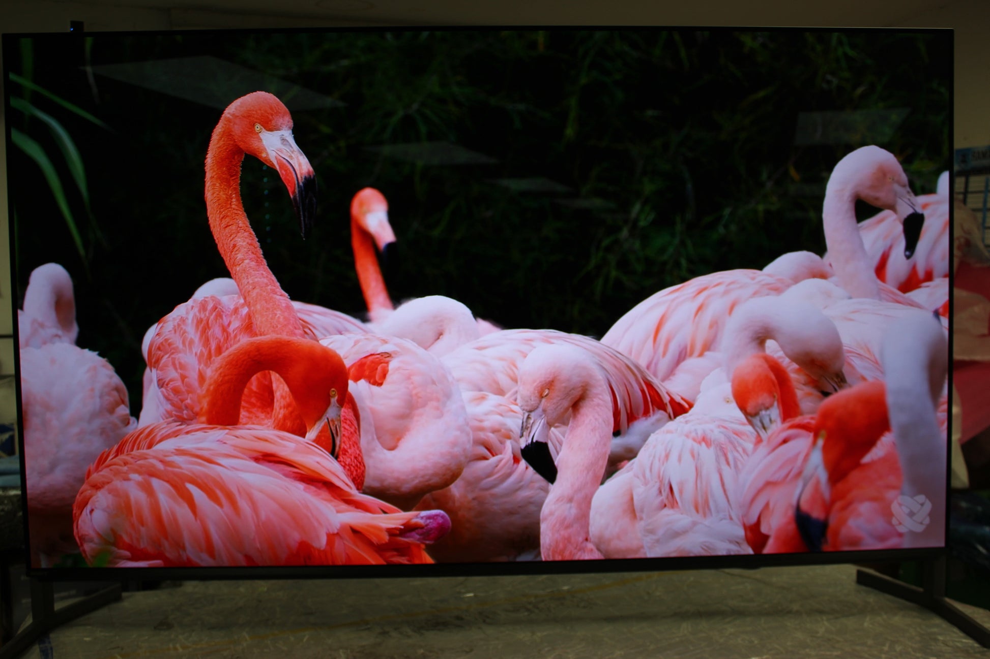 55" Sony Bravia K55XR8M2 4K HDR Google AI OLED TV image 9