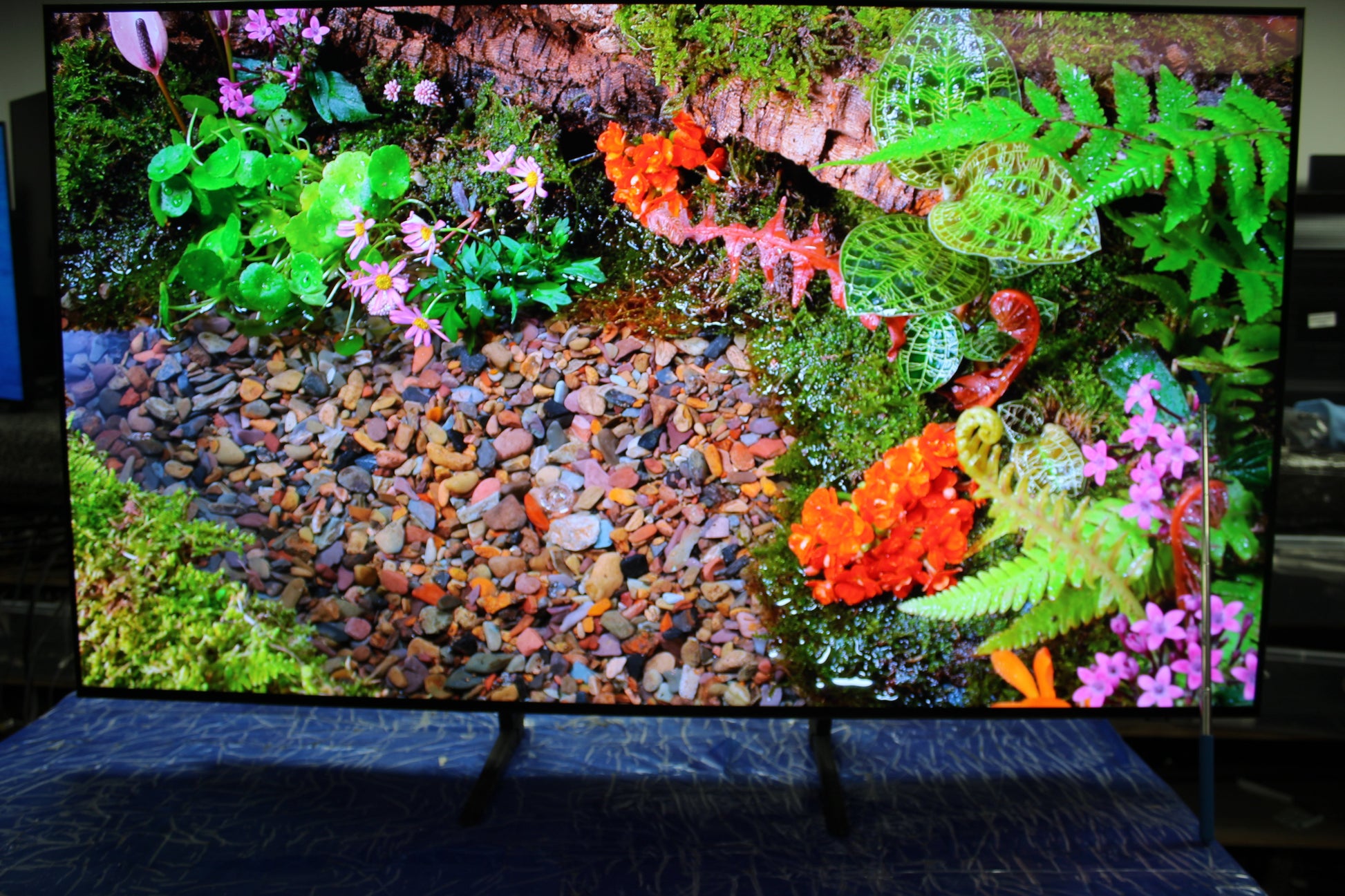 55" Samsung QE55S90FAEXXU Vision AI Flagship 4K HDR OLED TV - image 8